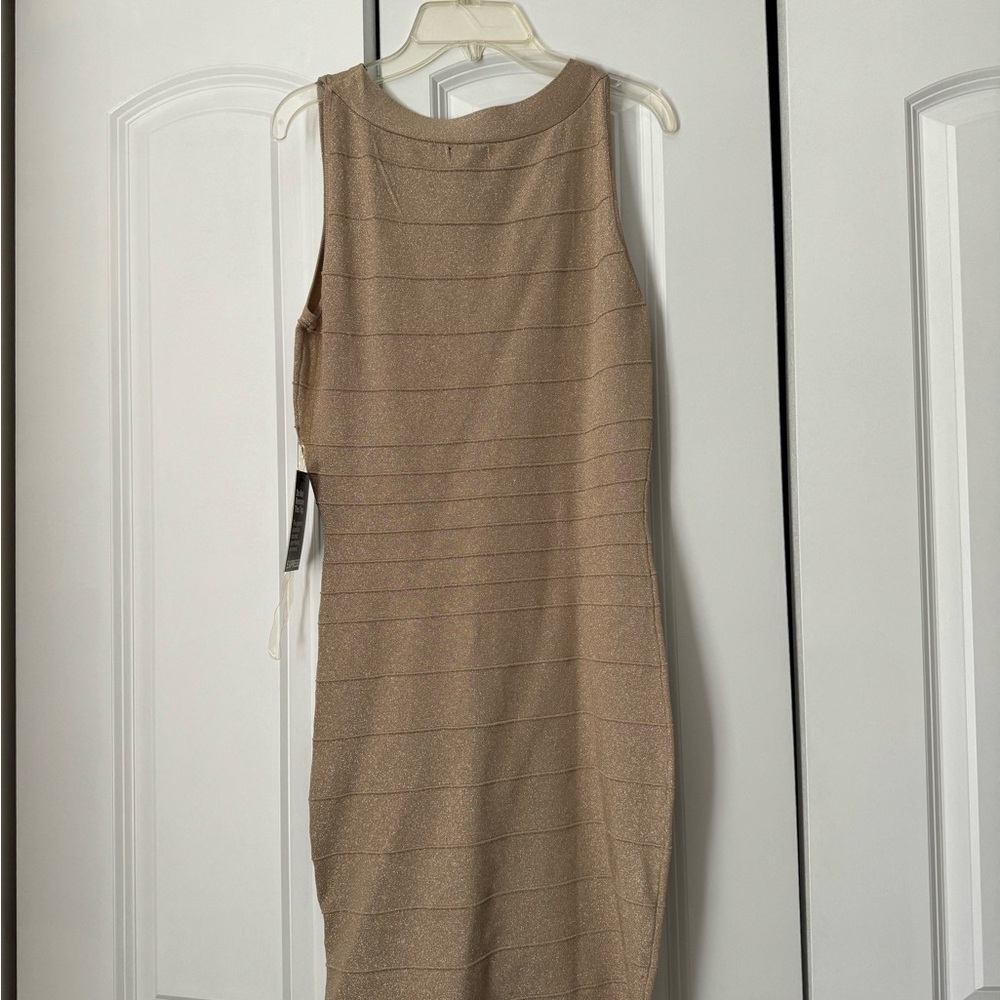 Express Gold Dress